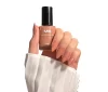 طلاء الأظافر - N231